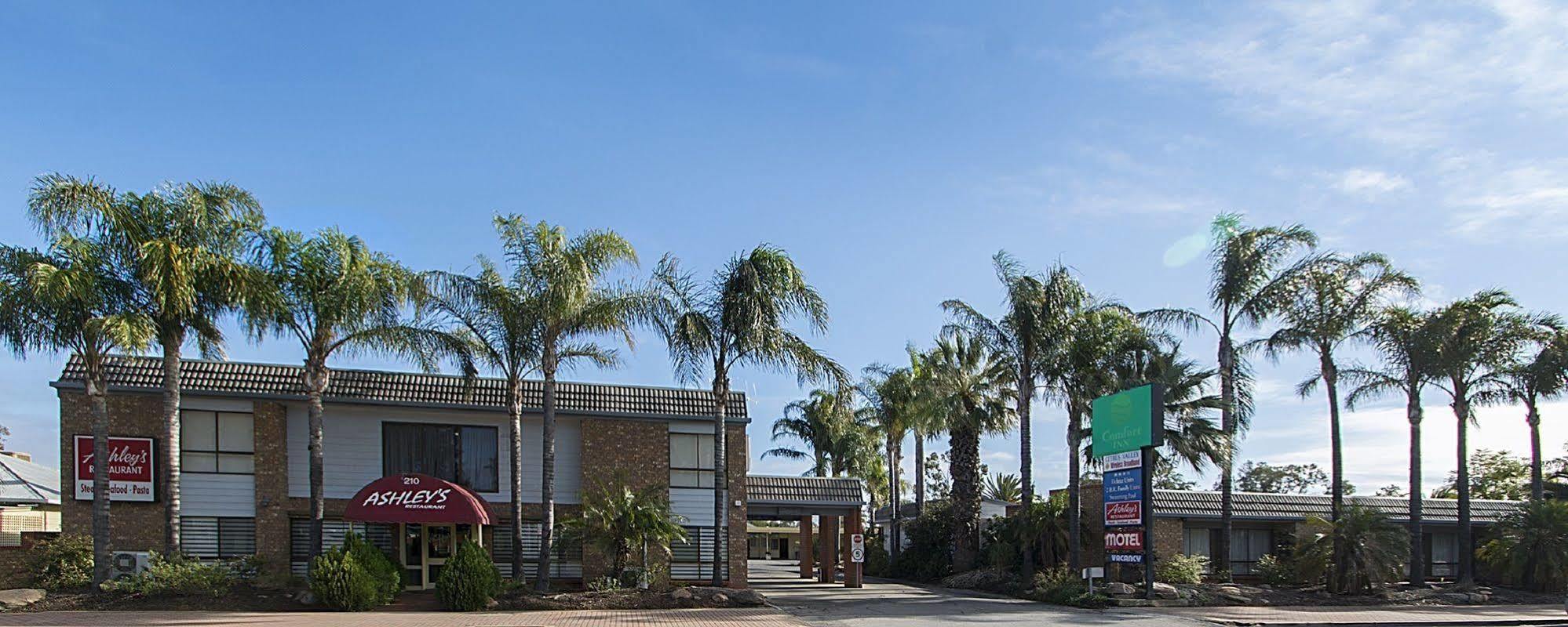 Citrus Valley Motel Renmark Luaran gambar